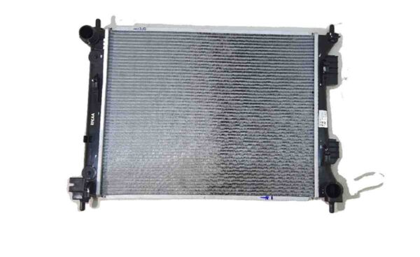 Hyundai, Kia Radiator, RADIATOR ASSY 253101R300