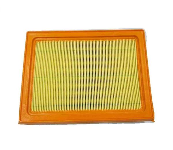 Renault, Nissan, Mitsubishi- Air Filter, CRTG AIR FILTER 165461HC2A