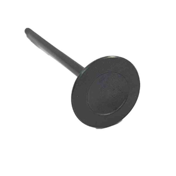 Renault, Nissan, Mitsubishi- Intake Valve, VALVE INTAKE 132016529R