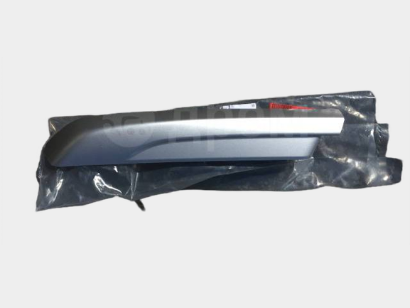 Renault, Nissan, Mitsubishi- Roof Rail, COVER-RR RH ROO 738863262R